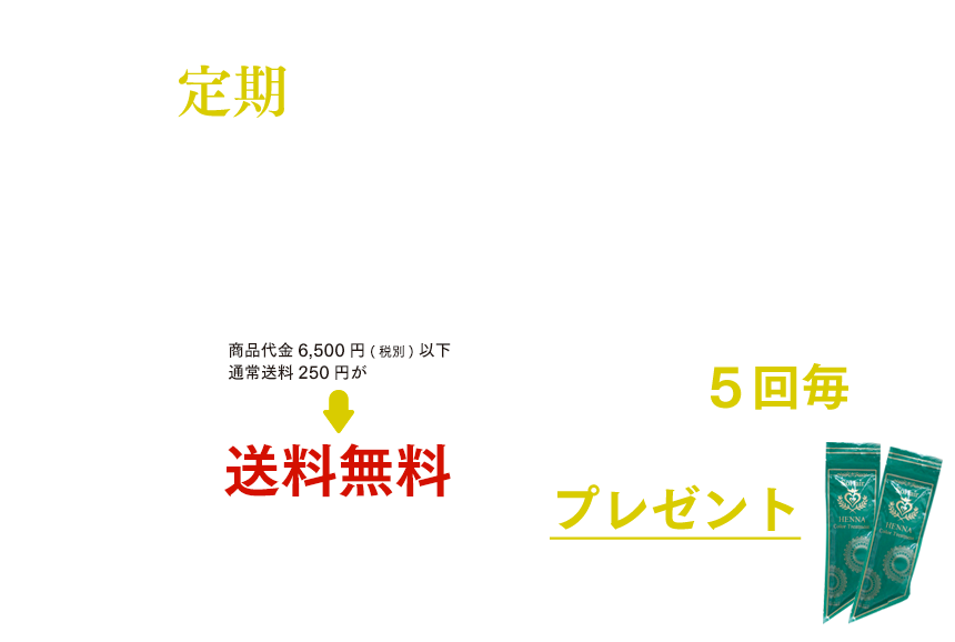 もっとお得に、きれいな髪へ　お得な定期コース