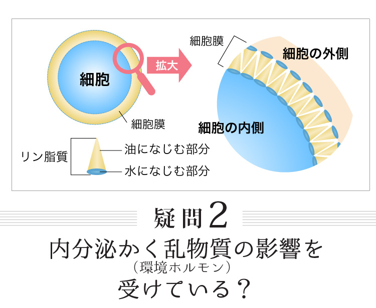 内分泌かく乱物質の影響を受けている？