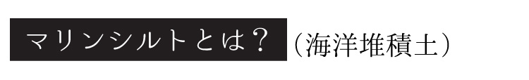 マリンシルトとは？